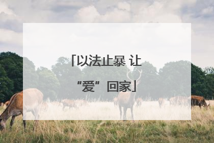 以法止暴 让“爱”回家