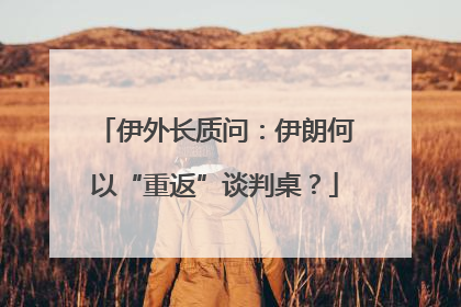 伊外长质问：伊朗何以“重返”谈判桌？