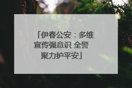 伊春公安：多维宣传强意识 全警聚力护平安