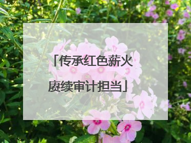 传承红色薪火 赓续审计担当