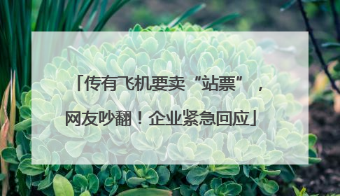 传有飞机要卖“站票”，网友吵翻！企业紧急回应