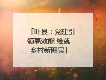 叶县：党建引领高效能 绘就乡村新图景