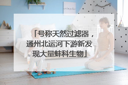号称天然过滤器，通州北运河下游新发现大量蚌科生物