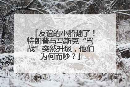 友谊的小船翻了！特朗普与马斯克“骂战”突然升级，他们为何而吵？