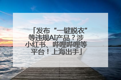 发布“一键脱衣”等违规AI产品?涉小红书、哔哩哔哩等平台!上海出手