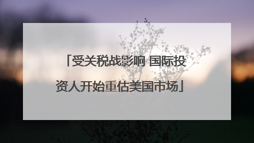 受关税战影响 国际投资人开始重估美国市场
