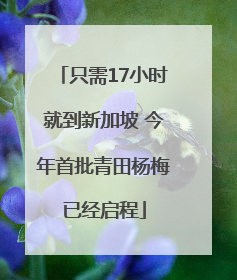 只需17小时就到新加坡 今年首批青田杨梅已经启程