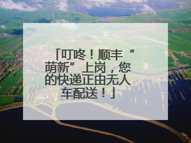 叮咚！顺丰“萌新”上岗，您的快递正由无人车配送！