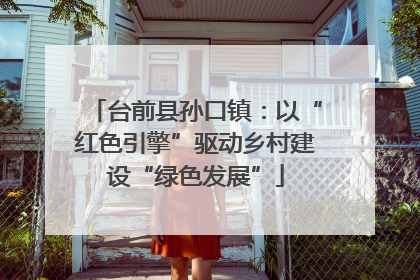 台前县孙口镇：以“红色引擎”驱动乡村建设“绿色发展”