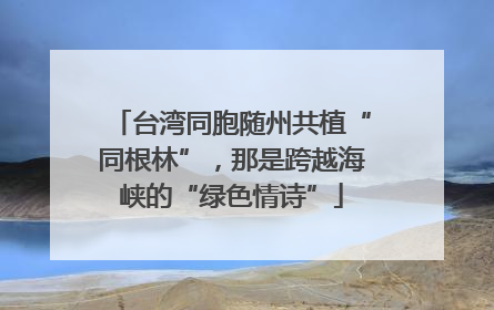 台湾同胞随州共植“同根林”，那是跨越海峡的“绿色情诗”