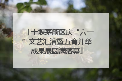 十堰茅箭区庆“六一”文艺汇演暨五育并举成果展圆满落幕