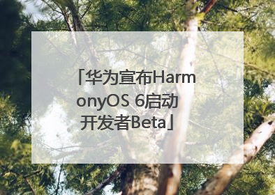 华为宣布HarmonyOS 6启动开发者Beta
