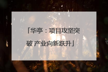 华亭：项目攻坚突破 产业向新跃升