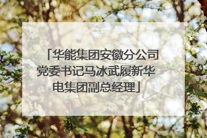 华能集团安徽分公司党委书记马冰武履新华电集团副总经理