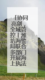 协同亮剑，全域管控丨潍坊海警局联合多部门开展海上执法行动