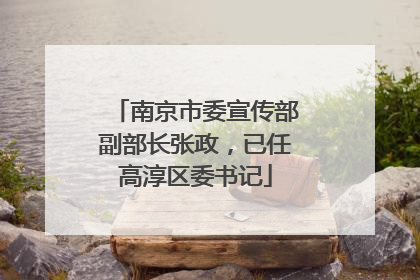 南京市委宣传部副部长张政，已任高淳区委书记