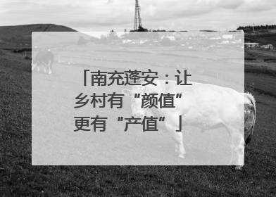 南充蓬安：让乡村有“颜值”更有“产值”