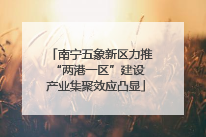 南宁五象新区力推“两港一区”建设 产业集聚效应凸显