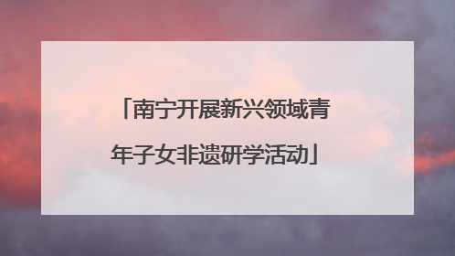 南宁开展新兴领域青年子女非遗研学活动