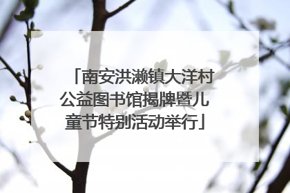 南安洪濑镇大洋村公益图书馆揭牌暨儿童节特别活动举行