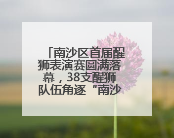 南沙区首届醒狮表演赛圆满落幕，38支醒狮队伍角逐“南沙狮王”