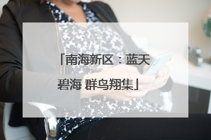 南海新区：蓝天碧海 群鸟翔集