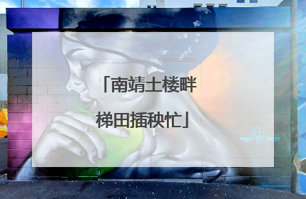 南靖土楼畔 梯田插秧忙