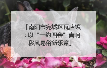 南阳市宛城区瓦店镇：以“一约四会”奏响移风易俗新乐章