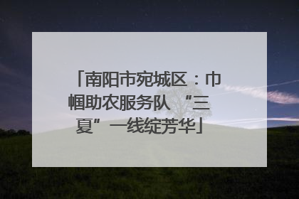 南阳市宛城区：巾帼助农服务队 “三夏”一线绽芳华