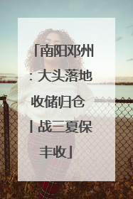 南阳邓州：大头落地 收储归仓丨战三夏保丰收