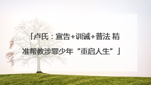 卢氏：宣告+训诫+普法 精准帮教涉罪少年“重启人生”