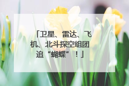 卫星、雷达、飞机、北斗探空组团追“蝴蝶”！