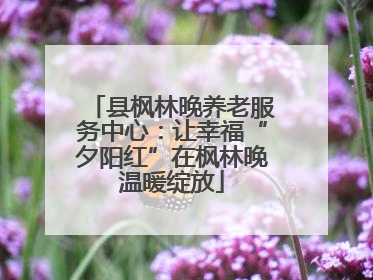 县枫林晚养老服务中心：让幸福“夕阳红”在枫林晚温暖绽放