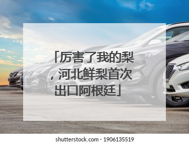 厉害了我的梨，河北鲜梨首次出口阿根廷