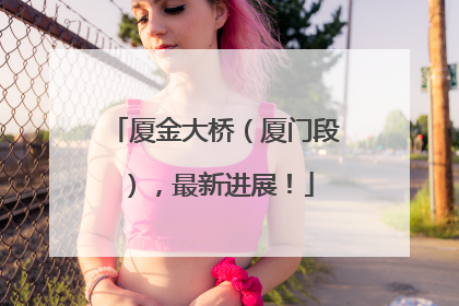 厦金大桥（厦门段），最新进展！