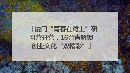 厦门“青春在鹭上”研习营开营，16台青解锁创业文化“双精彩”