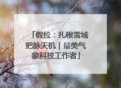 假拉：扎根雪域把脉天机｜最美气象科技工作者