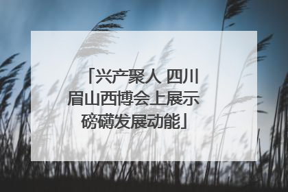 兴产聚人 四川眉山西博会上展示磅礴发展动能