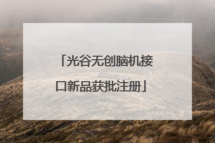 光谷无创脑机接口新品获批注册