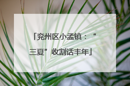 兖州区小孟镇：“三夏”收割话丰年