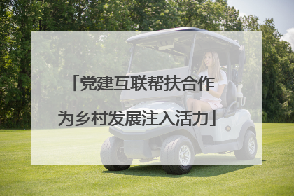 党建互联帮扶合作 为乡村发展注入活力