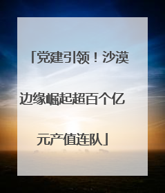 党建引领！沙漠边缘崛起超百个亿元产值连队