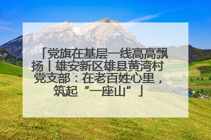 党旗在基层一线高高飘扬丨雄安新区雄县黄湾村党支部：在老百姓心里，筑起“一座山”
