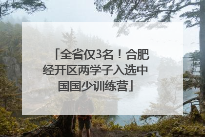 全省仅3名！合肥经开区两学子入选中国国少训练营