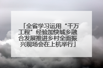 全省学习运用“千万工程”经验加快城乡融合发展推进乡村全面振兴现场会在上杭举行