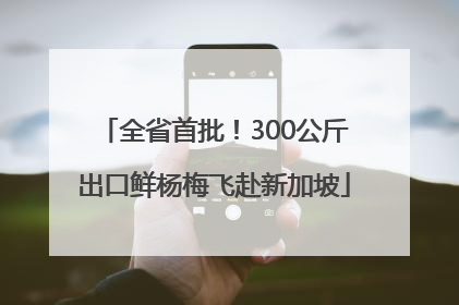 全省首批！300公斤出口鲜杨梅飞赴新加坡