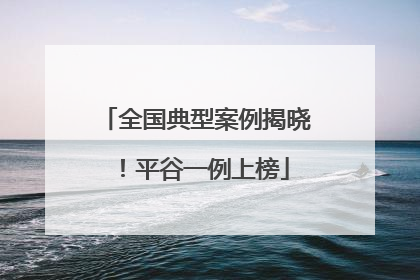 全国典型案例揭晓！平谷一例上榜