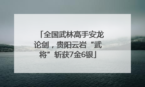 全国武林高手安龙论剑，贵阳云岩“武将”斩获7金6银