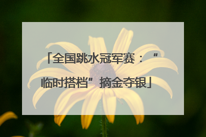全国跳水冠军赛：“临时搭档”摘金夺银