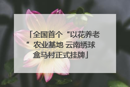 全国首个“以花养老”农业基地 云南绣球盒马村正式挂牌
